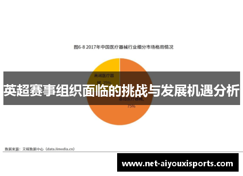 英超赛事组织面临的挑战与发展机遇分析