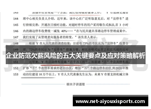 企业防范欠薪风险的五大关键要点及应对策略解析